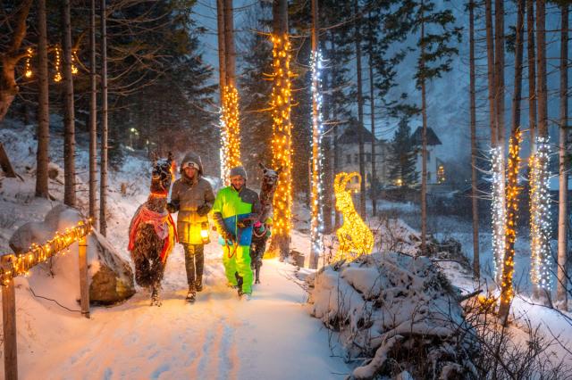 Mallnitz SKI OPENING Advent