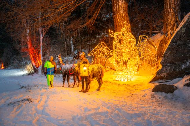 Mallnitz SKI OPENING Advent