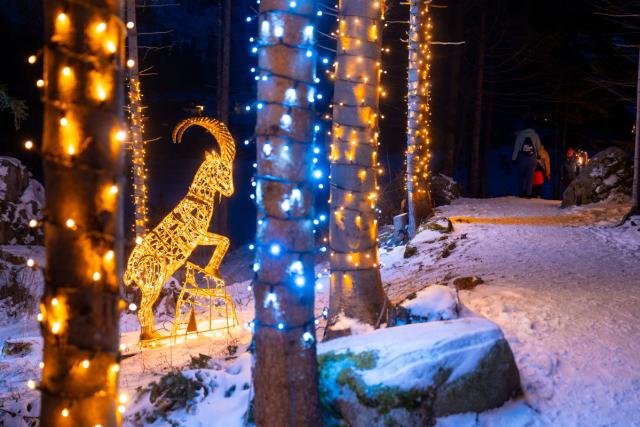 Mallnitz SKI OPENING Advent