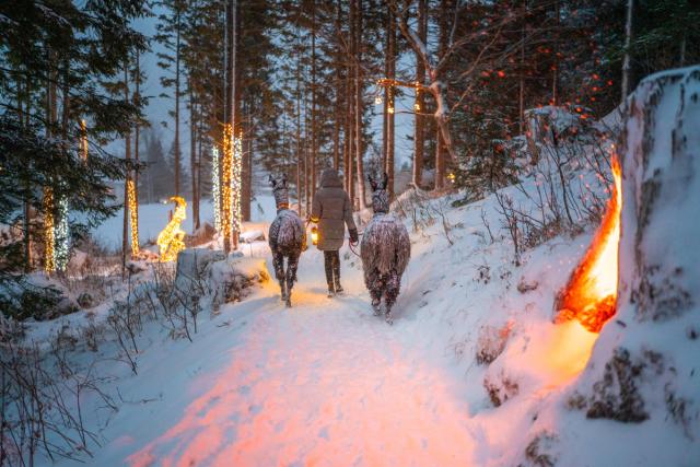 Mallnitz SKI OPENING Advent