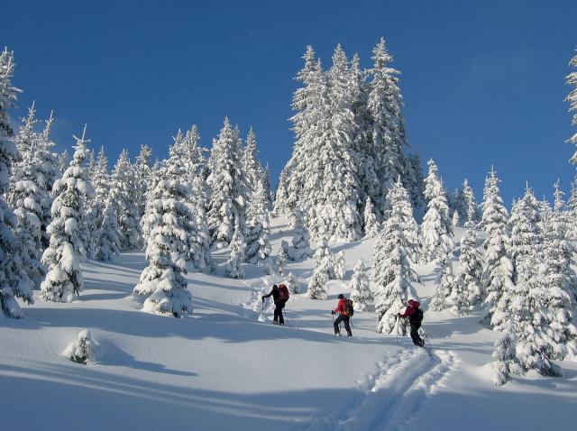 Alpin Resort Erzberg by ALPS RESORTS