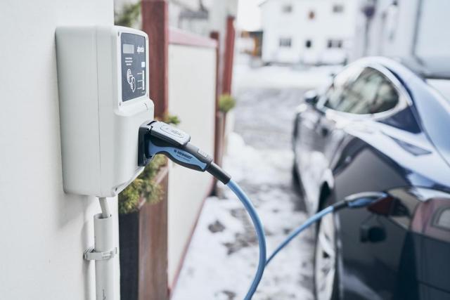 Goldene Rose Karthaus