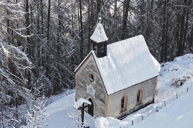 Goldene Rose Karthaus