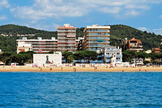 Amaraigua