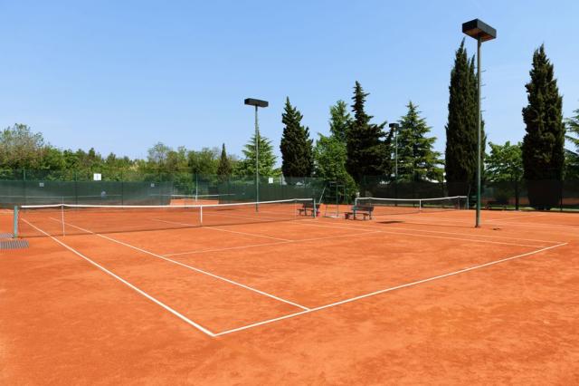 Tenis