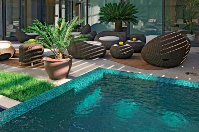 Wellness