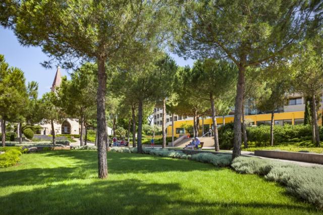 Hotel Istra okolie