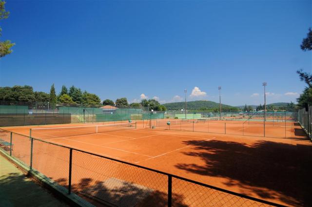 Šport