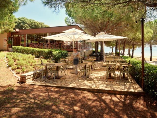 Istra Island hotel - Ostrov Crveni Otok -  - Chorvatsko