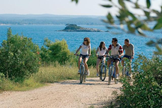 Istra Island hotel - Ostrov Crveni Otok -  - Chorvatsko