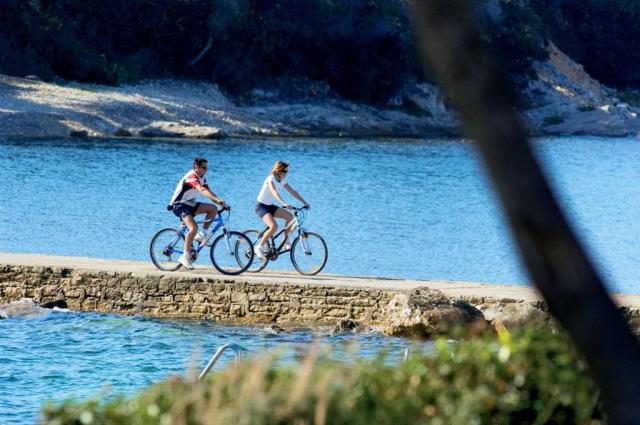 Istra Island hotel - Ostrov Crveni Otok -  - Chorvatsko