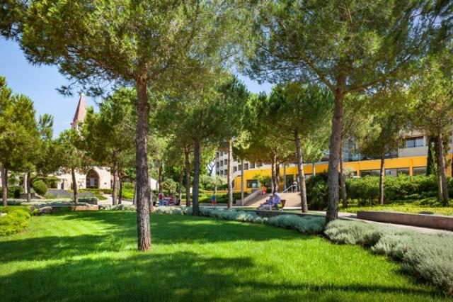 Istra Island hotel - Ostrov Crveni Otok -  - Chorvatsko