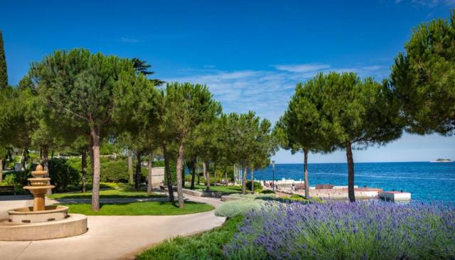 Istra Island hotel - Ostrov Crveni Otok -  - Chorvatsko