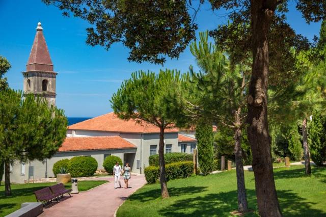 Istra Island hotel - Ostrov Crveni Otok -  - Chorvatsko