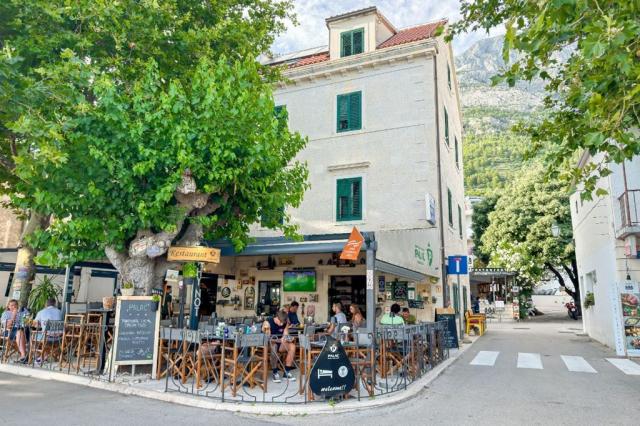 Palac aparthotel - Baška Voda -  - Chorvatsko