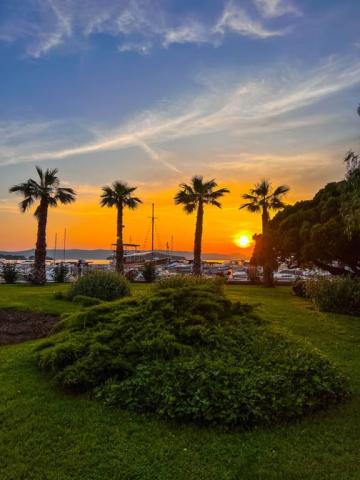 Ilirija hotel - Biograd na Moru -  - Chorvatsko