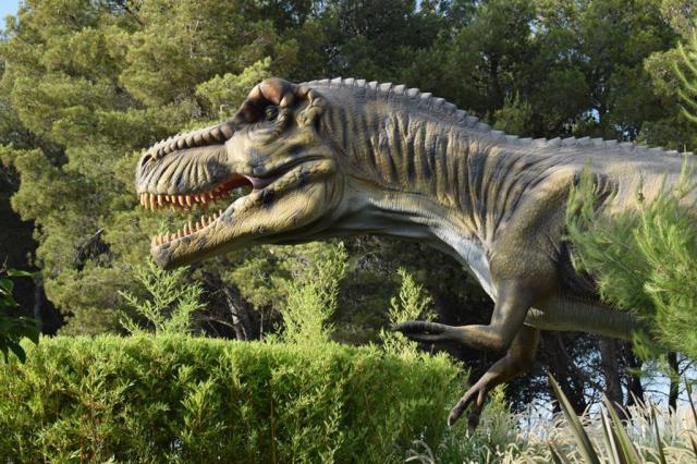 Zábavní Fun Park Damaland v Biogradu na Moru