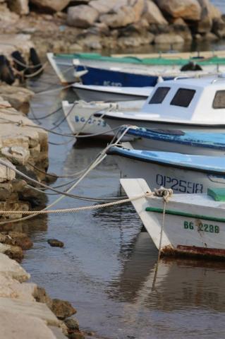Donat villa hotel depandance - Sveti Filip i Jakov -  - Chorvat