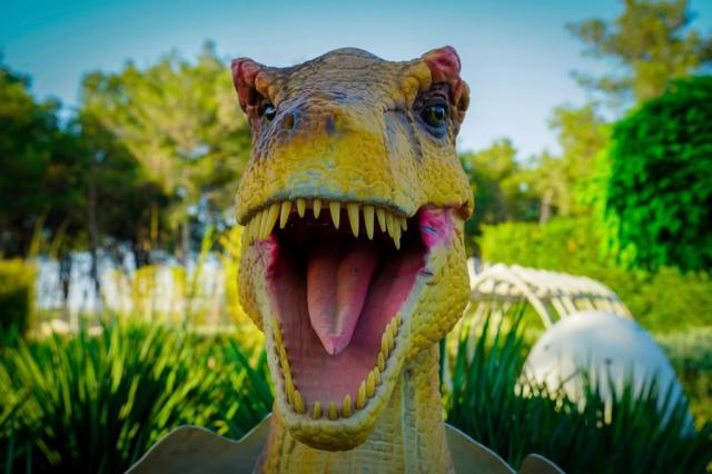 Fun Park Dalmaland - Biograd na Moru (61)