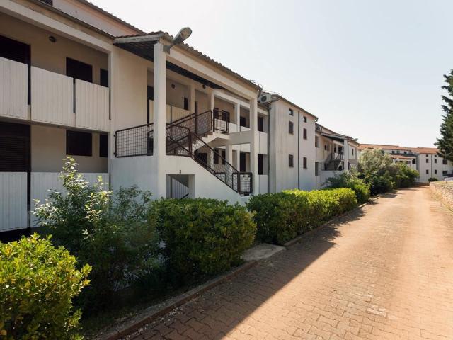 Duga Uvala - Unije apartmány - typ 1  - Ulika 4 - 