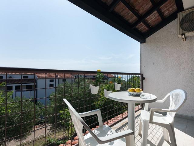 Duga Uvala - Unije apartmány - typ 2 - Ulika 5 - 