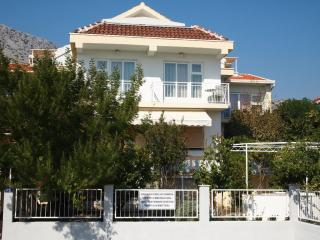 Duško Vila