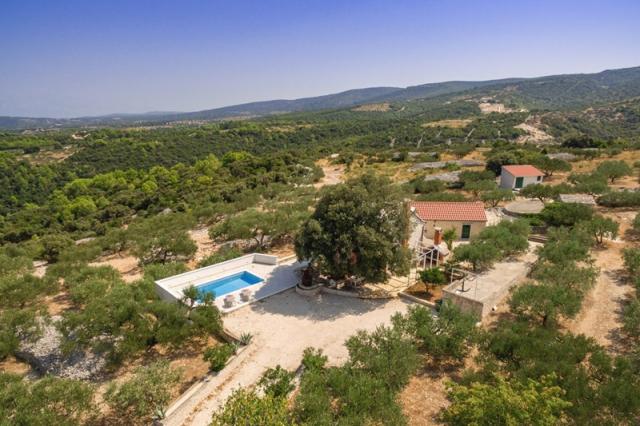 Dubrava vila - Pučišča (ostrov Brač) -  - Chorvatsko