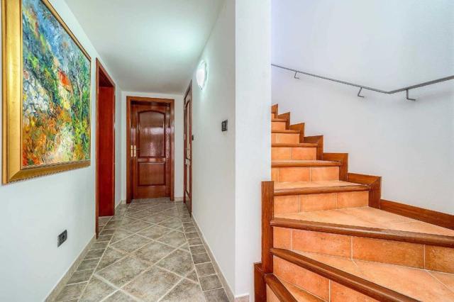 Rasotica vila - Sumartin (ostrov Brač) -  - Chorvatsko