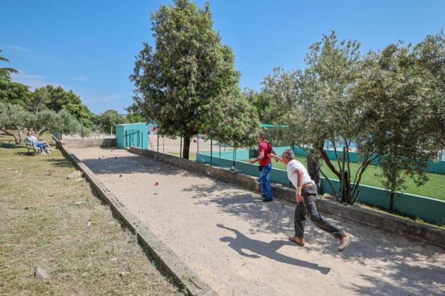 Medena apartmány Superior - Seget Donji - Chorvatsko -