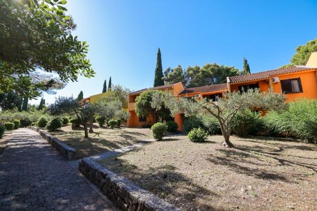Medena apartmány Superior - Seget Donji - Chorvatsko -