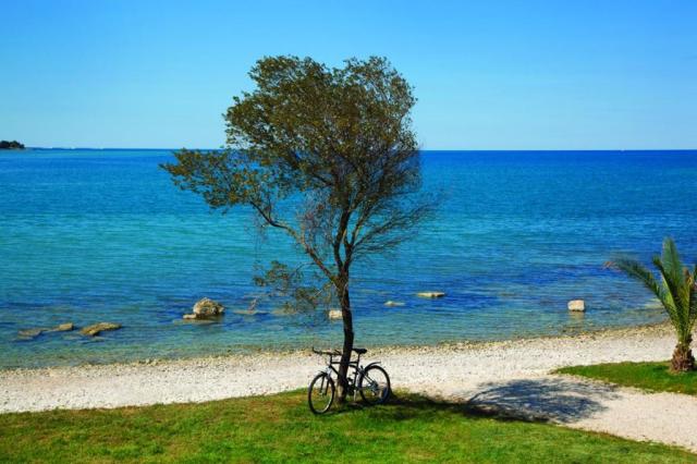 Sirena Aminess Planet Camping Holiday Homes - Novigrad -  - Cho