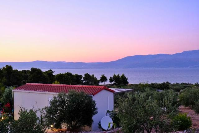 Olive Garden Home - mobil home - Mirca (ostrov Brač) -  - Chorv