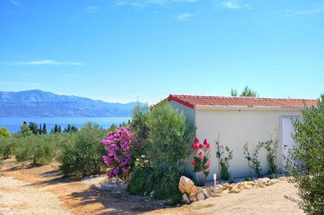 Olive Garden Home - mobil home - Mirca (ostrov Brač) -  - Chorv