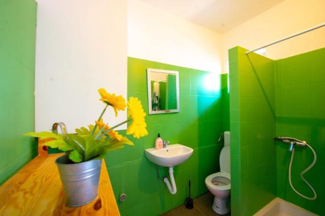 Claudia apartmány - studio pro 3 osoby - Novalja (ostrov Pag) -