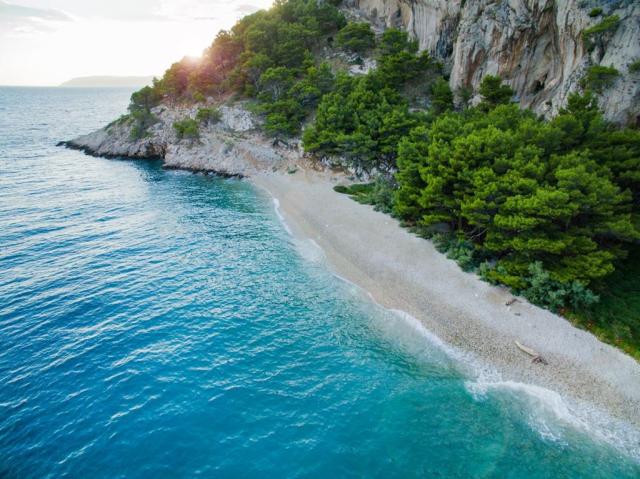 Bluesun Maslinik depandance - Tučepi -  - Chorvatsko