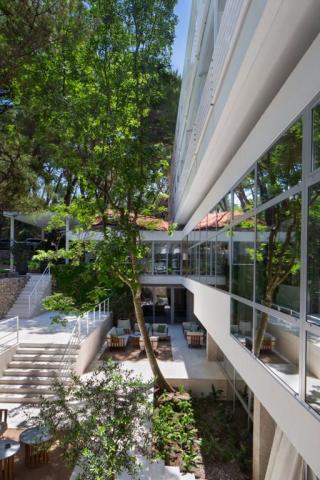 Maestral Bluesun hotel - Brela -  - Chorvatsko