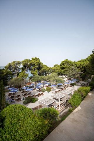 Maestral Bluesun hotel - Brela -  - Chorvatsko