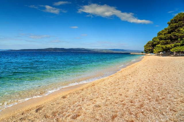 Maestral Bluesun hotel - Brela -  - Chorvatsko