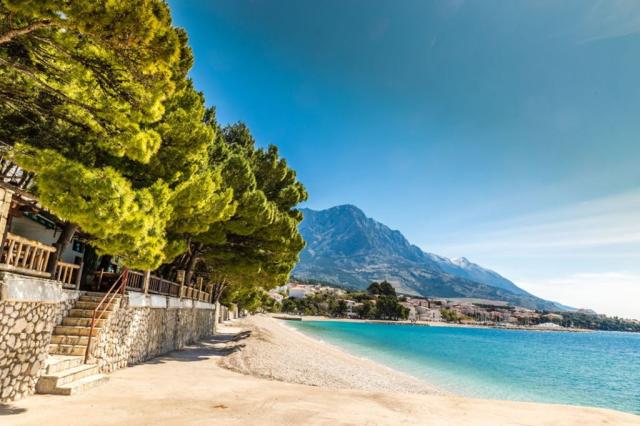 Maestral Bluesun hotel - Brela -  - Chorvatsko