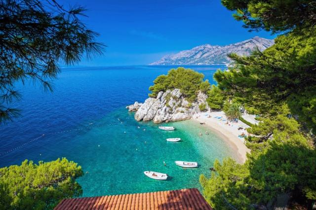 Maestral Bluesun hotel - Brela -  - Chorvatsko