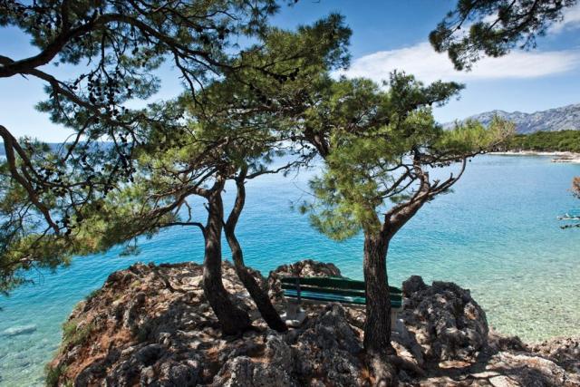 Maestral Bluesun hotel - Brela -  - Chorvatsko