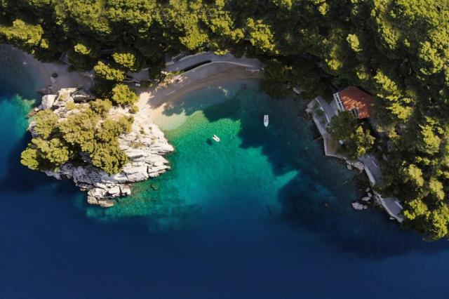 Maestral Bluesun hotel - Brela -  - Chorvatsko