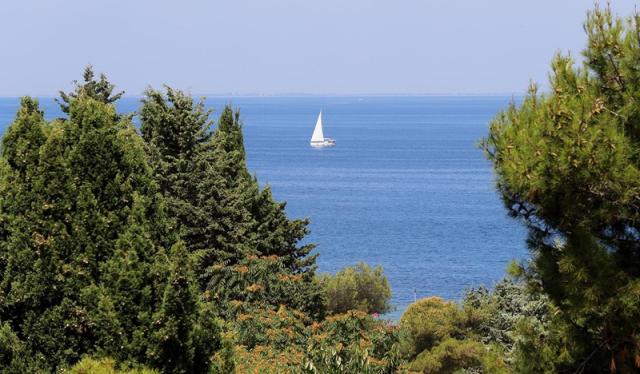 San Simon Resort - Haliaetum hotel - Izola -  - Slovinsko