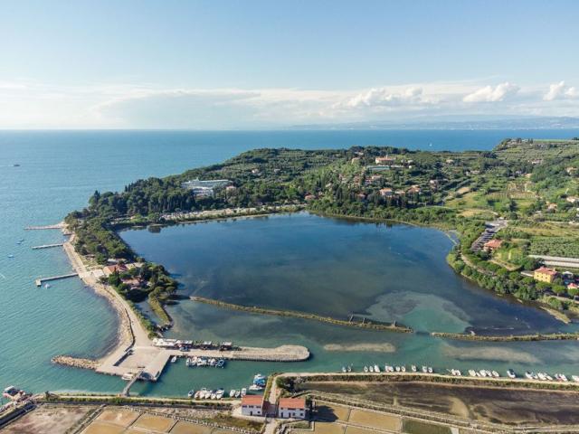 Terme Krka - Svoboda hotel - Strunjan -  - Slovinsko