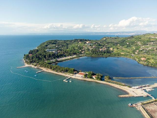 Terme Krka - Svoboda hotel - Strunjan -  - Slovinsko