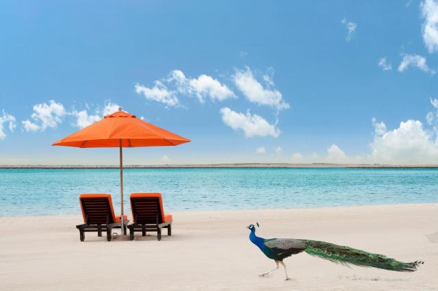 JA Beach Hotel