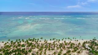 Catalonia Bavaro Beach, Golf & Casino Resort