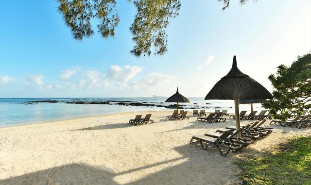 Beachcomber Le Canonnier