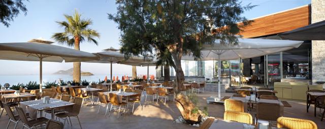 Kadikale Resort