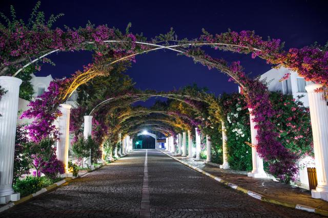 Kadikale Resort